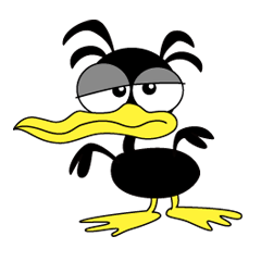 A black duck Geo