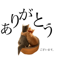 chie_20191216143649