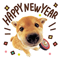 THE DOG的新年祝福