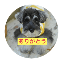 kurumi_20191216192224