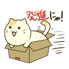 Carton Boxed Cat
