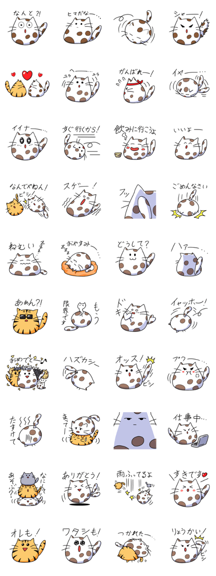Matthew cat