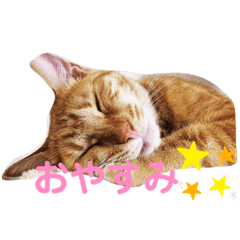 saori_20191216194418