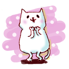 white cat KOMARU's every day!