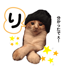 haru my pet