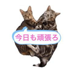 Hana_20191216222700