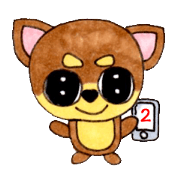 Yamato Maro eyebrow Chihuahua 2