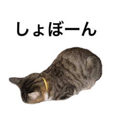 natsumi_20191216191030