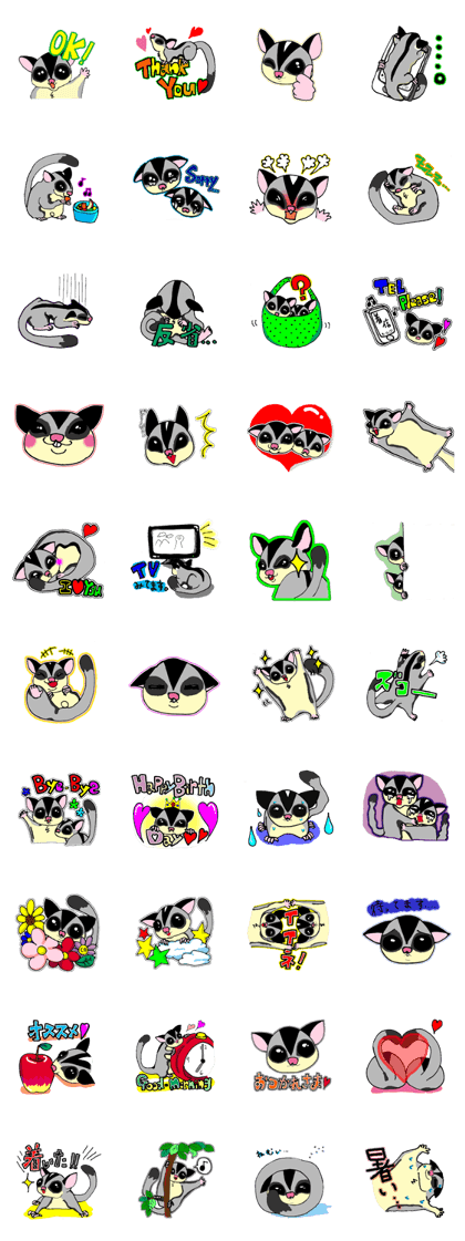 I love Sugar Glider