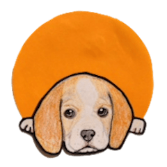 Beagle dog Sticker