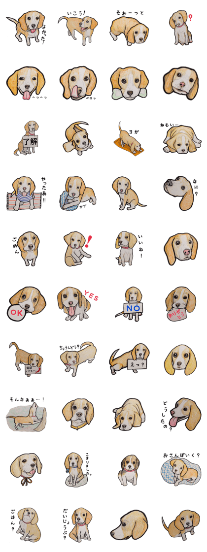 Beagle dog Sticker