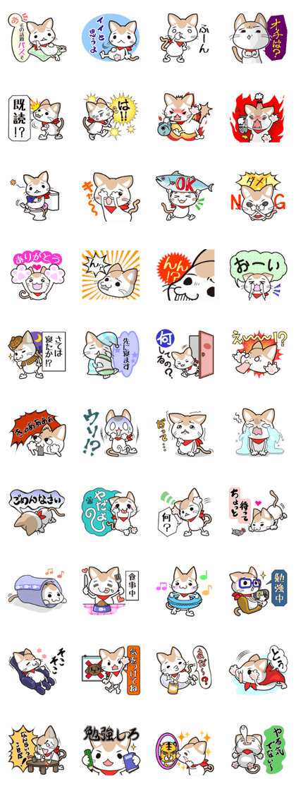 Damnable cat,"iraneko"