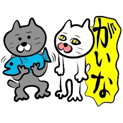 Cat of the Tottori,Yonago dialect