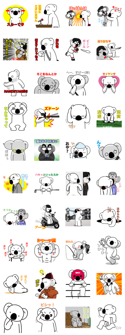 White koala returns
