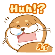 Let's talk in Japanese with dog Azuma