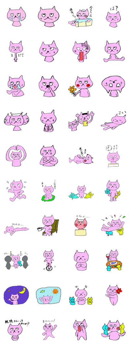 Unfriendly cat