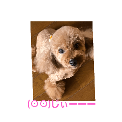 hana_20191217090515