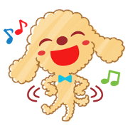 A lovely toy poodle(Apricot)