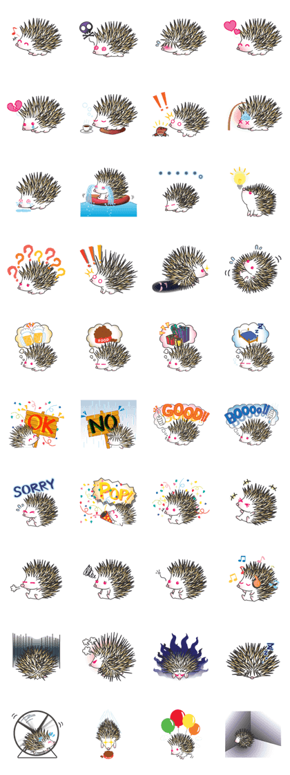 Bucky the hedgehog