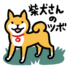 柴犬さんのツボ Vol 1 Line スタンプ Line Store