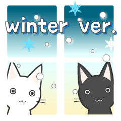 猫たちの冬