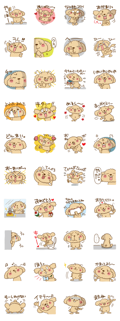 Putaro the Poodle 2
