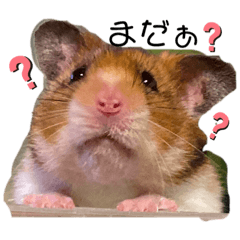 junko_20191217032125