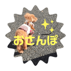 KURUMI_20191217124313