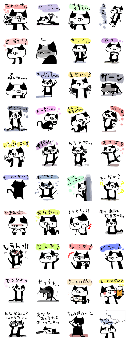 Bee crack cat Hukuta No.2