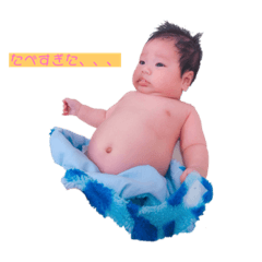 napi_20191217131923