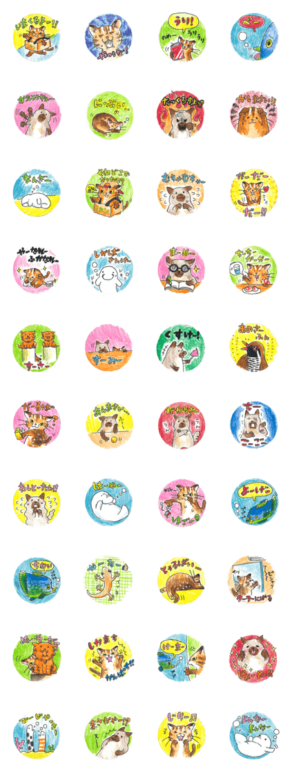 Uchina Animal Friends!