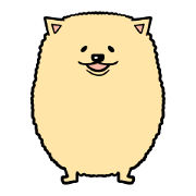 fluffy pomeranian