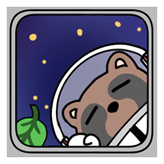 Racoon dog in the space