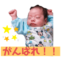 napi_20191217133301