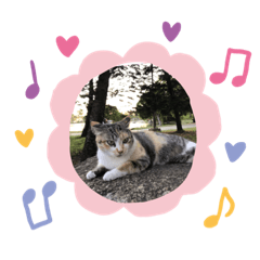 CatSouvenir - Cat island Park