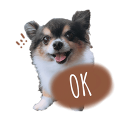 kurumi_20191217100503