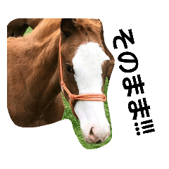 Kazuki_20191217104132