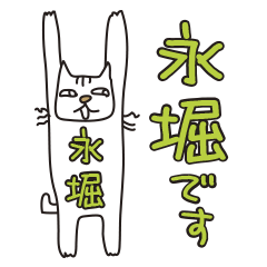 Only for Mr. Nagahori Banzai Cat