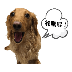 Lin ya fen_20191216231810
