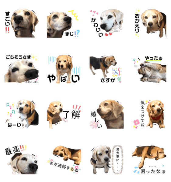 ビーグル犬 あんちゃんの日常3 Lineクリエイターズスタンプ Stamplist