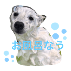mimi_20191217143600