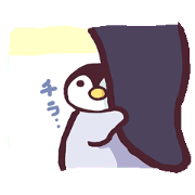 Emperor Penguin Chick