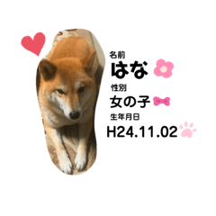 hana_20191217151205