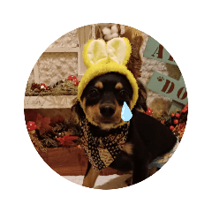 mina_20191217160009