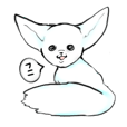 fennec fox"FUNII"