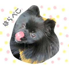 yun_20191217165752