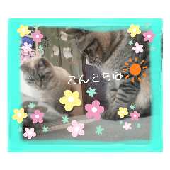 manmaru_20191217183629