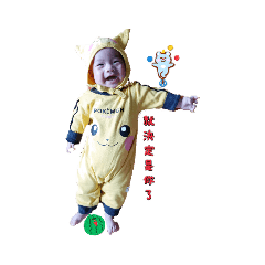 愛美麗廢文創作-豬寶就決定是你了