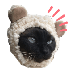 aozora_20191217202757