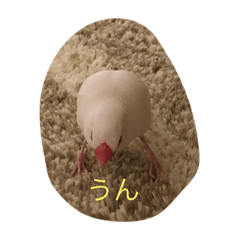 TAKUMI_20191217213040